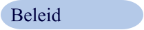 Beleid